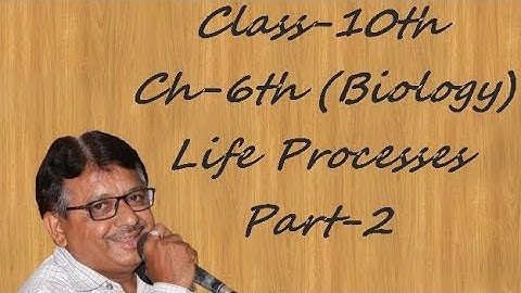 Class 10th Science Ch-6 biology Life Processes Part 2 | ધોરણ 10 વિજ્ઞાન પ્રકરણ 6 જૈવિક ક્રિયાઓ ભાગ 2