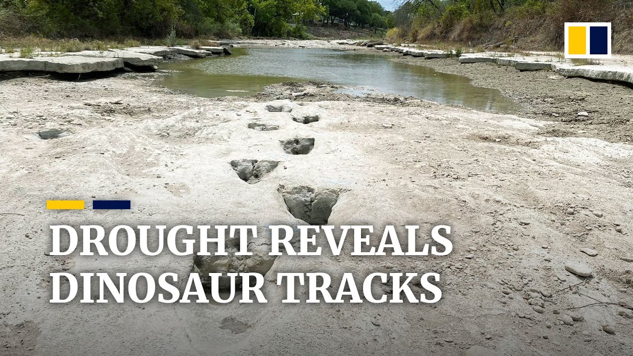 Texas drought reveals dinosaur footprints from nearly 113 million years ago