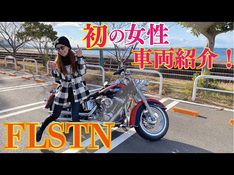 michi99 HARLE（ハーレイ）no17 ライダー サイズᏚ夏物 H-D