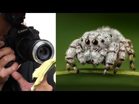 What Lense Is Best For Close Ups