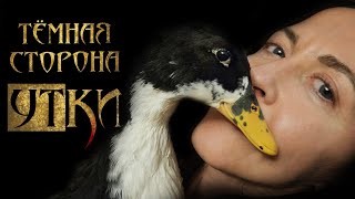 видео: ТЁМНАЯ СТОРОНА УТКИ: каннибалы, некрофилы, всадники Апокалипсиса // лекция Евгении Тимоновой картинка: ТЁМНАЯ СТОРОНА УТКИ: каннибалы, некрофилы, всадники Апокалипсиса // лекция Евгении Тимоновой