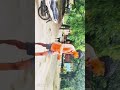 Sabse achha dost kaun hota hai😈🧑‍🤝‍🧑🧑‍🤝‍🧑#dosti #music #newcapcutediting #song #video #viralsong