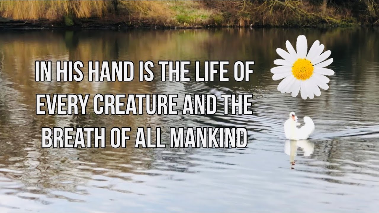 Through nature, God speaks to us. - YouTube