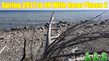 Spring 2021 In 4K@60FPS With Razer Phone 2