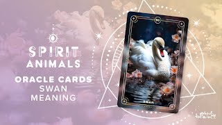 Swan Spirit Animal | Symbolism & Meaning Explained