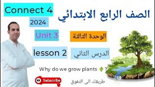 منهج اللغة الانجليزية الجديد للصف الرابع الابتدائي 2024 - lesson 2  - Connect 4  Unit 3