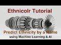 Ethnicolr Tutorial | Predict Race and Ethnicity by a Name using Machine Learning and AI
