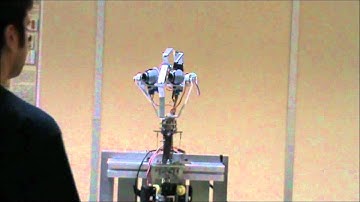 Humanoid is tracking the human face