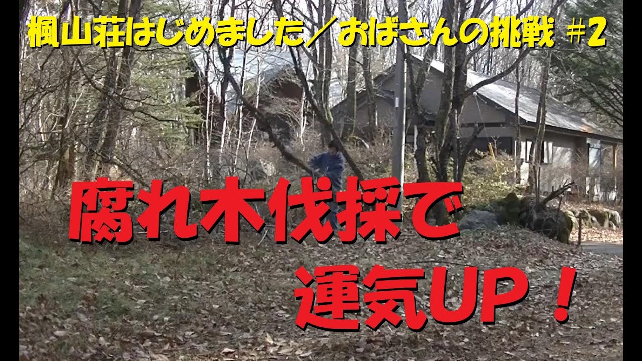 ＃２　腐れ木伐採で運気ＵＰ！／ＤＩＹ・森暮らし・半分移住