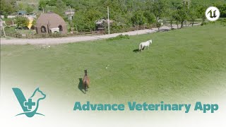 Our Goal Is To Provide The Best Veterinary Service - Download the app now - Indus Vet Global