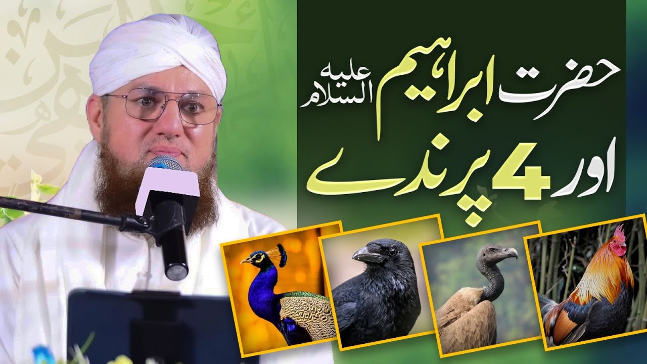 Hazrat Ibrahim Aur 4 Parinday | Allah Pak Marne Kay Bad Kis Tarha Uthae Ga | Abdul Habib Attari