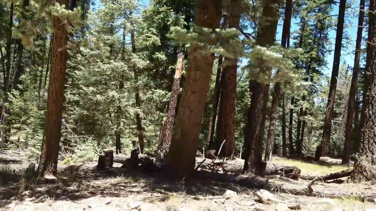 Potato Patch; Millsite Village; Walker, AZ Real Estate for Sale YouTube