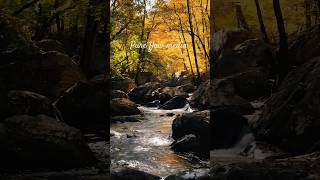Peace is found in the sound of water 🌊❤️ | pure flow media 4k ultra cinematic experience