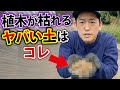 【これが出てきたらアウト?】植木を植えると枯れる土とは?もしそうだった時の対処法までお伝えします。