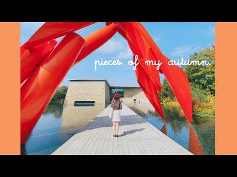 [리야's 일상 브이로그] VLOG #1 가을의 조각들 / pieces of autumn (뮤지엄산 나들이, 취준생의 하루, 강아지랑 놀기, 계속 먹기!)