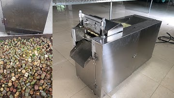 Máy thái thuốc nam, máy thái dược liệu Ry-600 Năng suất cao, cắt đều 0363.999.318