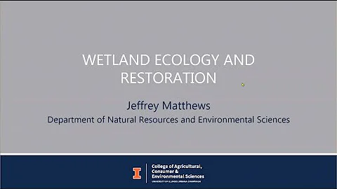 Wetland Ecology and Restoration