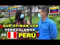 Esto OPINAN los VENEZOLANOS sobre PERÚ - ¡AMAN EL CEVICHE Y EL MACHU PICCHU!