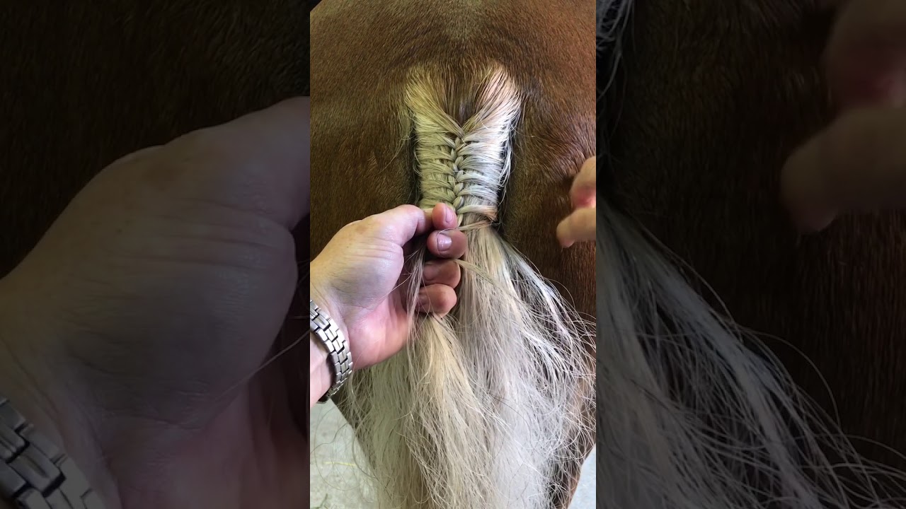 Как заплести косу на хвосте