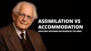Assimilation vs Accommodation: How New Information Changes the Mind