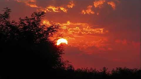 تلاوة عذبة تلامس الفؤاد رقق قلبك  تأخذك لعالم آخر 🍁 سبحان الله