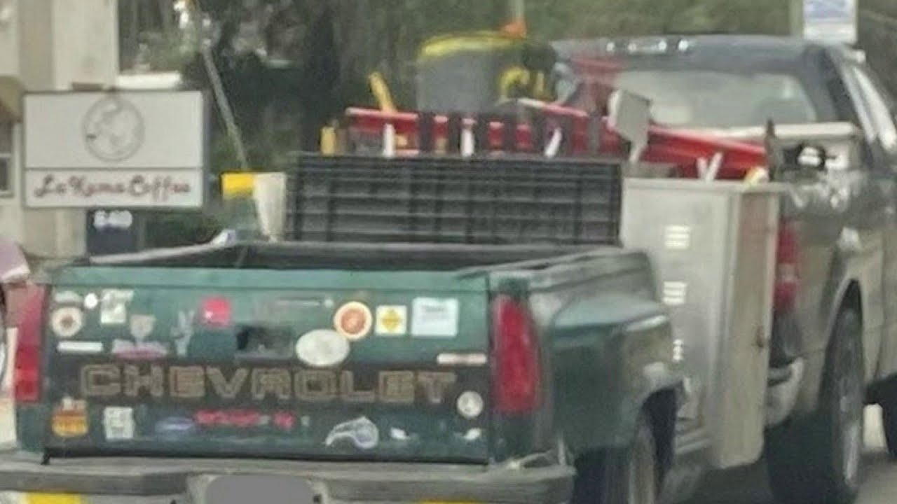 What the honk: Drivers think they have 9 lives