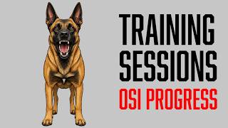 Training Sessions: Reading Osi’s Attitude & Building Forward Confidence | Bitework Training