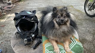 VE1337 Motovlog Helmet Setup.