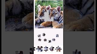 Jigsaw Puzzle Game App Tutorial (Tigers Puzzle) Tiger Faces 🐯 screenshot 1