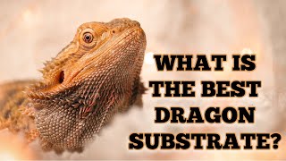 WHAT IS THE BEST BEARDED DRAGON SUBSTRATE?
