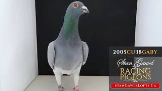 2005 CU 38 GABY