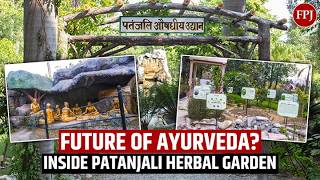 جولة في حديقة باتانجالي للأعشاب: كيف يُشكّل الأيورفيدا واليوغا الطب الحديث screenshot 4