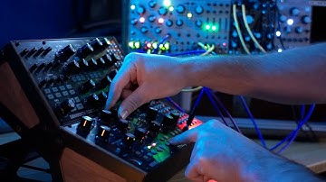 Mother 32, Plaits, Marbles, QPAS, Beads - Ambient Modular Eurorack