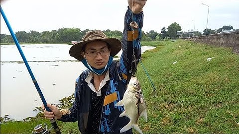 Đi Gần 100km Câu Cá Đập To Khủng Nhất Easup Hạ Đắk Lắk . Tập 1 , Cá Ăn Liên Tục