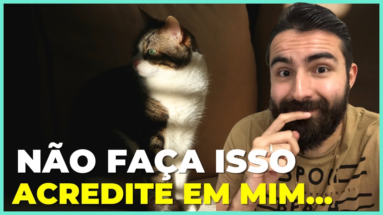 Se Seu Gato Fica Dentro De Casa, Nunca Faça ISSO!