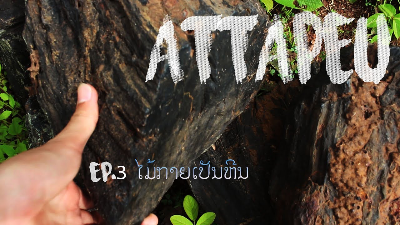 ໄມ້ກາຍເປັນຫີນ - มหัศจรรย์ธรรมชาติ ไม้กลายเปันหิน, Attapeu LAOS