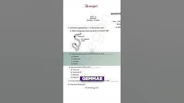 PLUS ONE BIOLOGY - BOTANY QUESTION PAPER | 1 MARK CHRISTMAS EXAM 2022 | AEGON #plusonebiology #11th