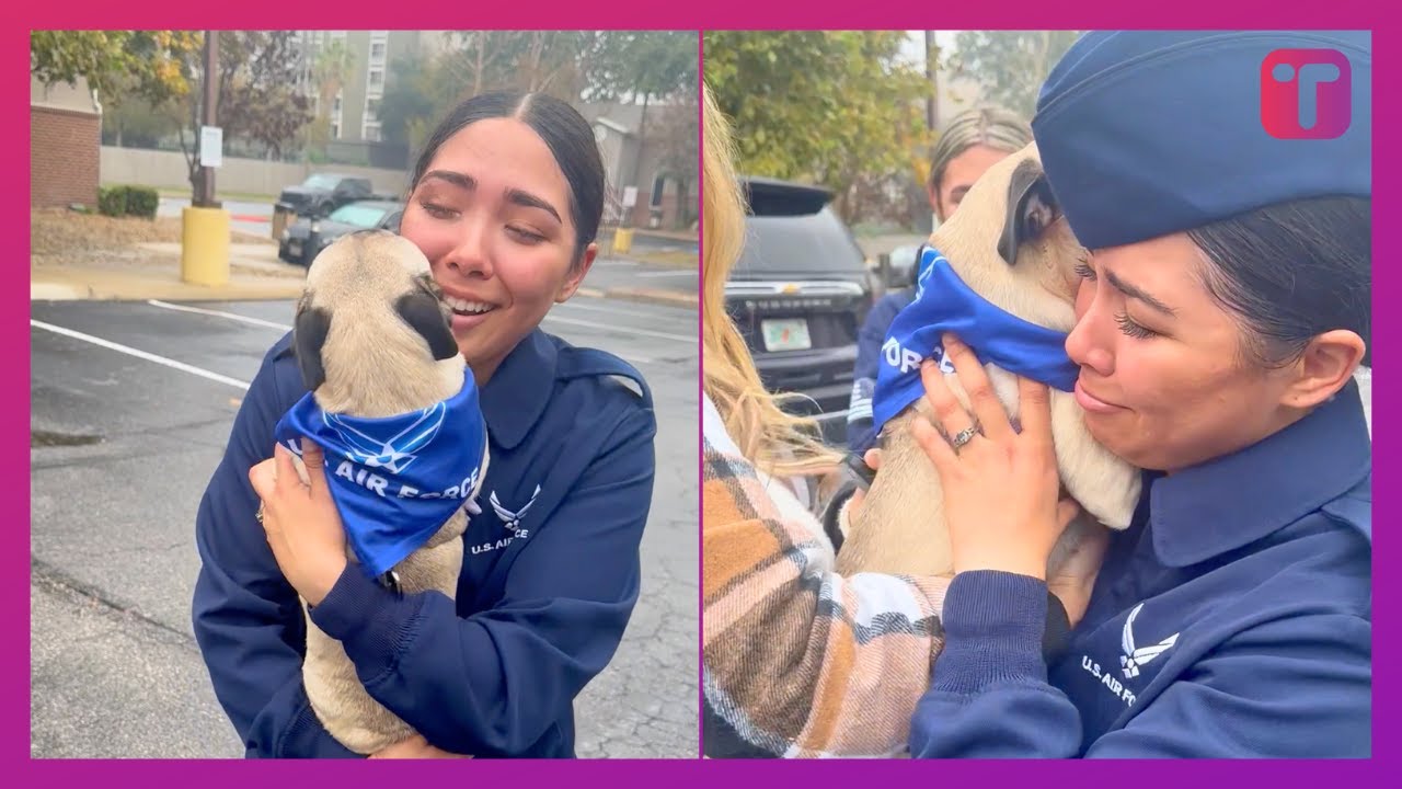 Air Force Graduate Surprise Reunion With Dog After Months Apart - YouTube