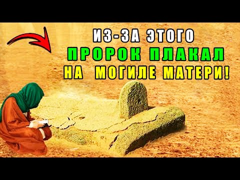 ЧТО ПРОИЗОШЛО С МАТЕРЬЮ ПРОРОКА КОГДА ОН НАВЕСТИЛ ЕЁ МОГИЛУ?  В КАКОМ ПОЛОЖЕНИИ ОНА НАХОДИТСЯ? хадис