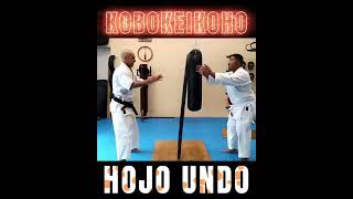 #hojo #undo #example #offense #defense #training #method #short #traditional #weight #drills #sample