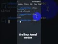 Find Kali Linux Kernel Version Fast! #shorts