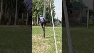 Wooden pole climbing at field electrician electrical electricaljob