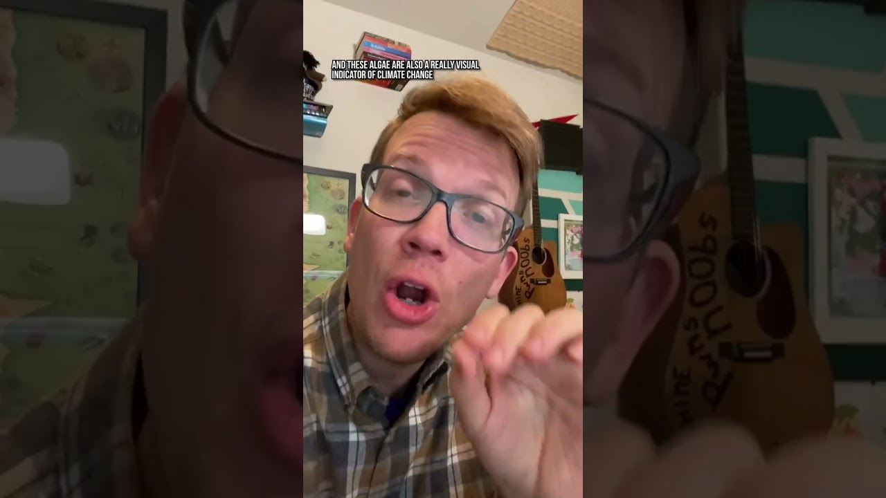 Don't eat the watermelon snow! 