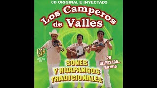 Video thumbnail of "Los Camperos de Valles - El Aguanieves"