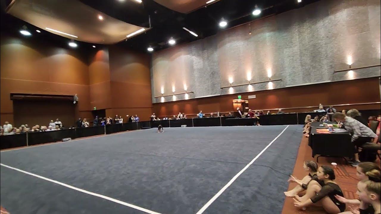 Gracie Floor 8 5 Battle in Bellevue YouTube