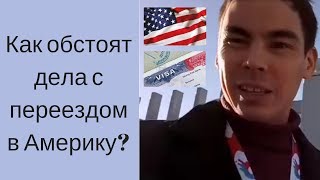 Виза L1 в США. Цена визы в США. Делаем перевод документов