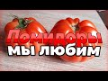 ВЫСАДКА САМЫХ ВКУСНЫХ ТОМАТОВ!🍅