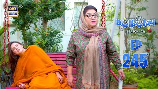 Bulbulay Season 2 Episode 245 13 April 2024 Ary Digital