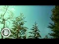 Глухариная песня. Документальный фильм о жизни и повадках лесных красавцев глухарей (1985)