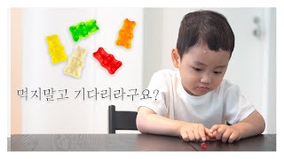 [비글부부] 4살 아이 마시멜로 테스트! 자기 통제력이 얼마나 될까?